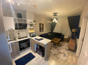 Furnished Apartments MK1